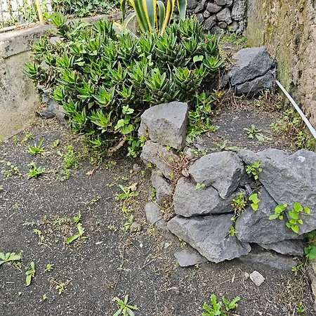 Etnamare Elite * Pedara